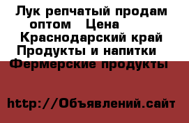 Лук репчатый продам оптом › Цена ­ 12 - Краснодарский край Продукты и напитки » Фермерские продукты   